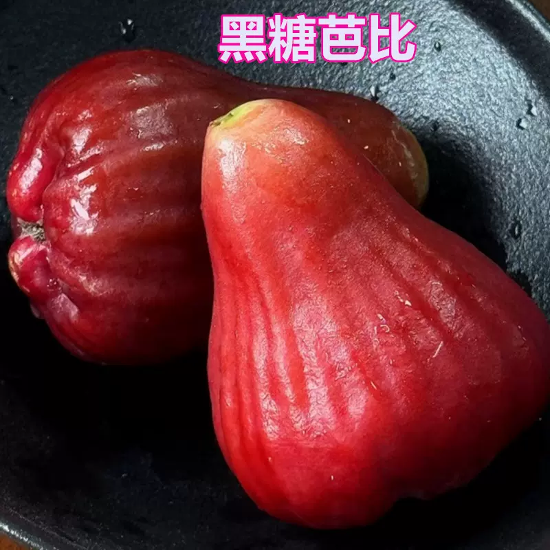 花付き！特大　レンブ取木苗木 台湾黑金剛 蓮霧 2025年最新】レンブ 苗の人気アイテム - メルカリ