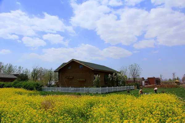 春田公社图片