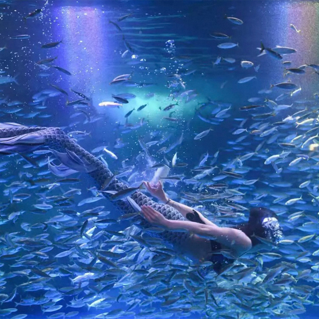 【漫步六朝古都】2晚江苏南京泊金花间境·琵琶山居+明孝陵多景点套票+海底世界门