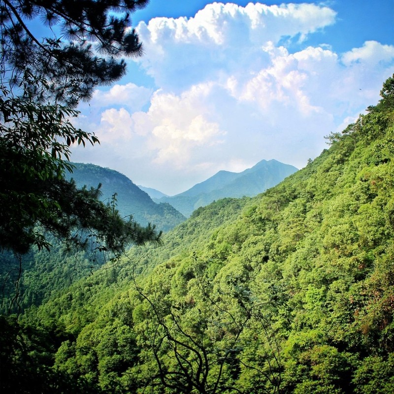 【湖景童趣,悠享天成】3天2晚千岛湖明豪国际度假酒店套餐+千岛湖森林氧吧门票