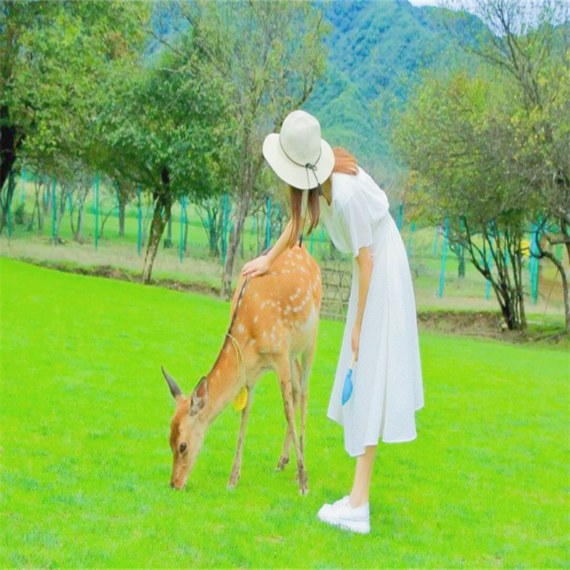 恩施神农架旅游6日 恩施大峡谷地心谷腾龙洞梭布垭大清江神农架 - 定制游预订