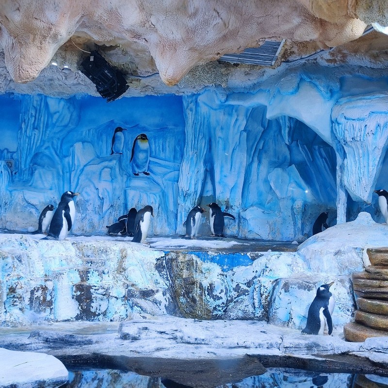 青岛国信中心酒店3天2晚|海洋公园+摩天轮+云上海天买1送1|亲子优选