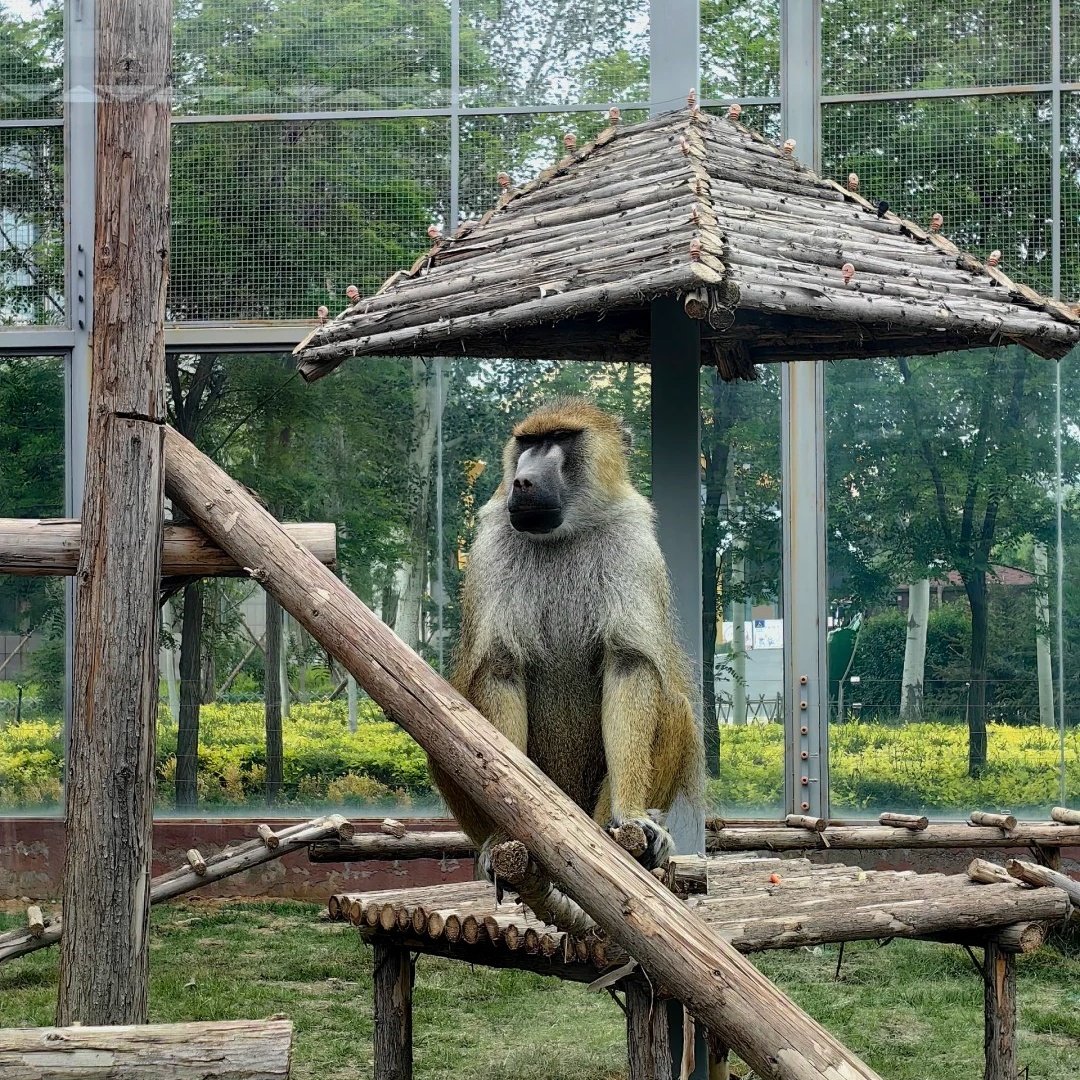 兰州野生动物园星空屋住宿+兰州野生动物园成人门票