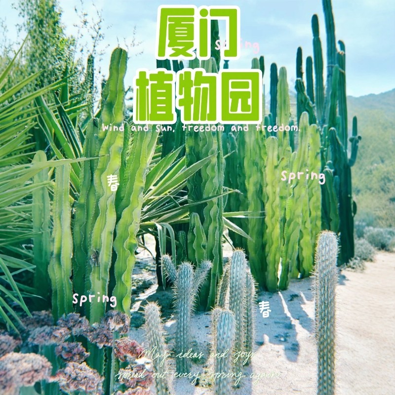 【海边一站式度假】福建厦门宾馆家庭亲子房 4天3晚+植物园