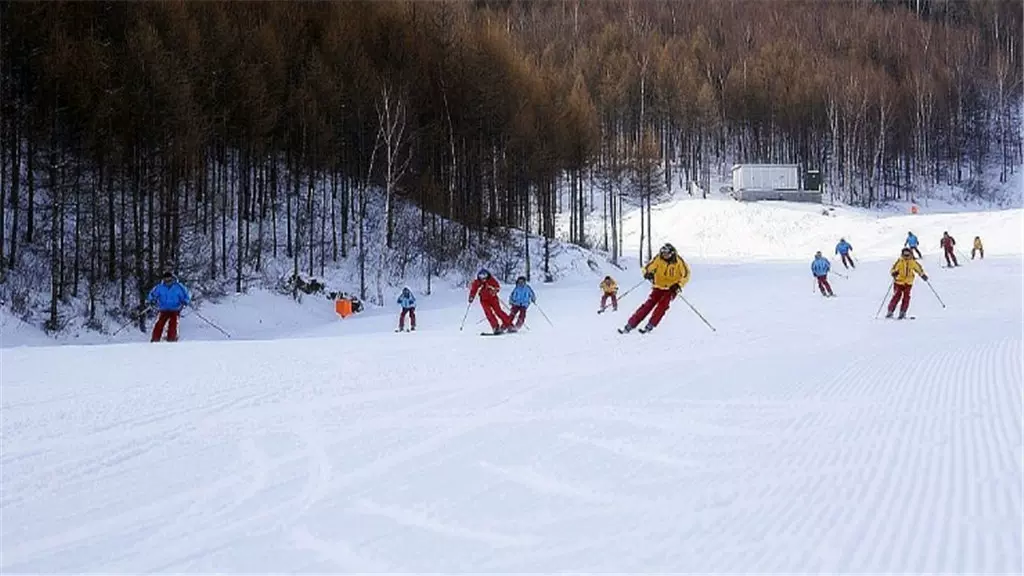 濮上园天鹅湖滑雪场