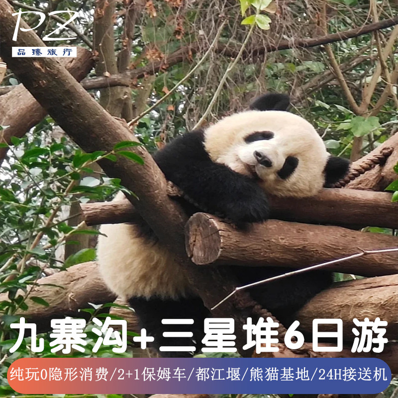 专职导游-四川成都九寨沟旅游6天纯玩三星堆黄龙都江堰大熊猫基地 - 定制游预订