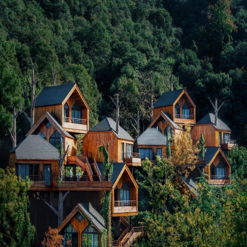 【YT】3天2晚丨杭州开元森泊度假酒店丨亲子房+杭州植物园 - 定制游预订