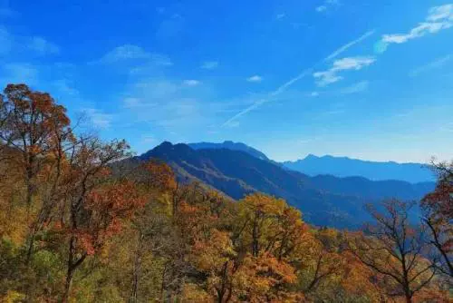 马鬃岭自然保护区图片