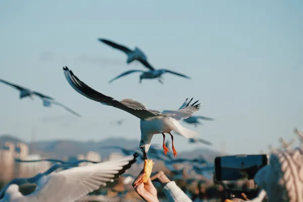 昆明华邑酒店+滇池索道单程 2天1晚