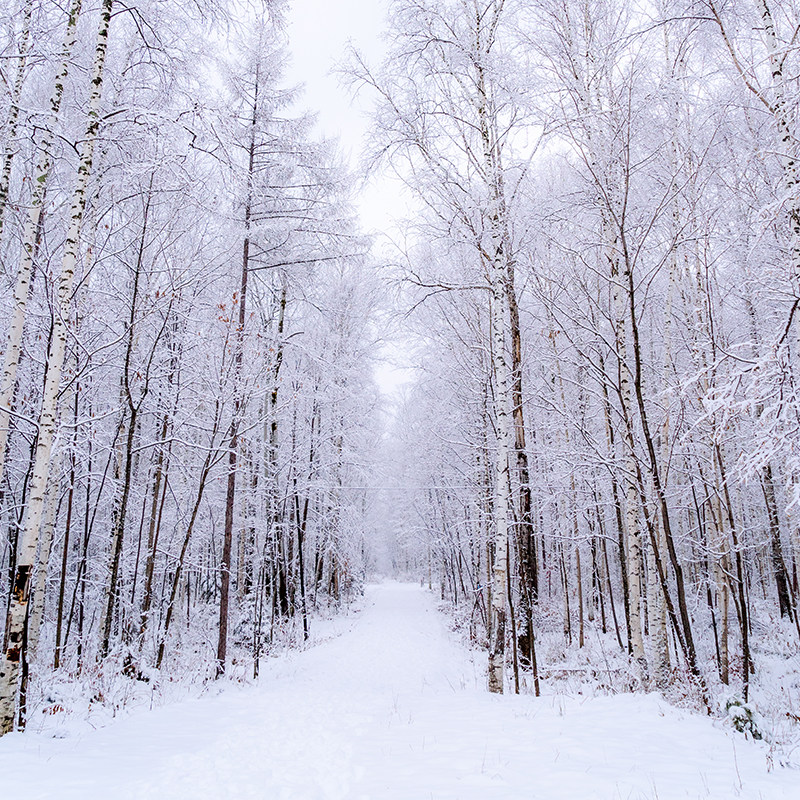内蒙古呼伦贝尔雪原梦幻阿尔山6天5晚自由行 - 定制游预订
