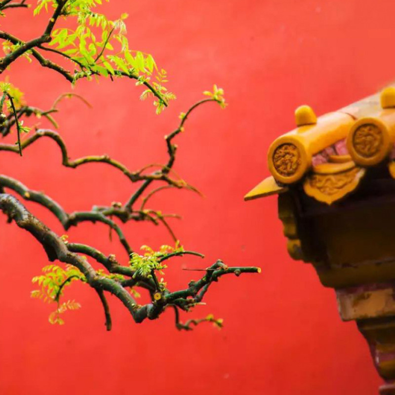 北京天安门广场+故宫+恭王府+什刹海 私家团跟团游一日游 - 定制游预订