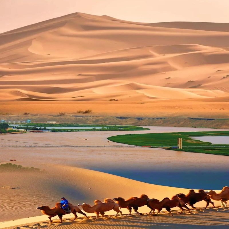 宁夏精品酒店住宿+沙坡头门票