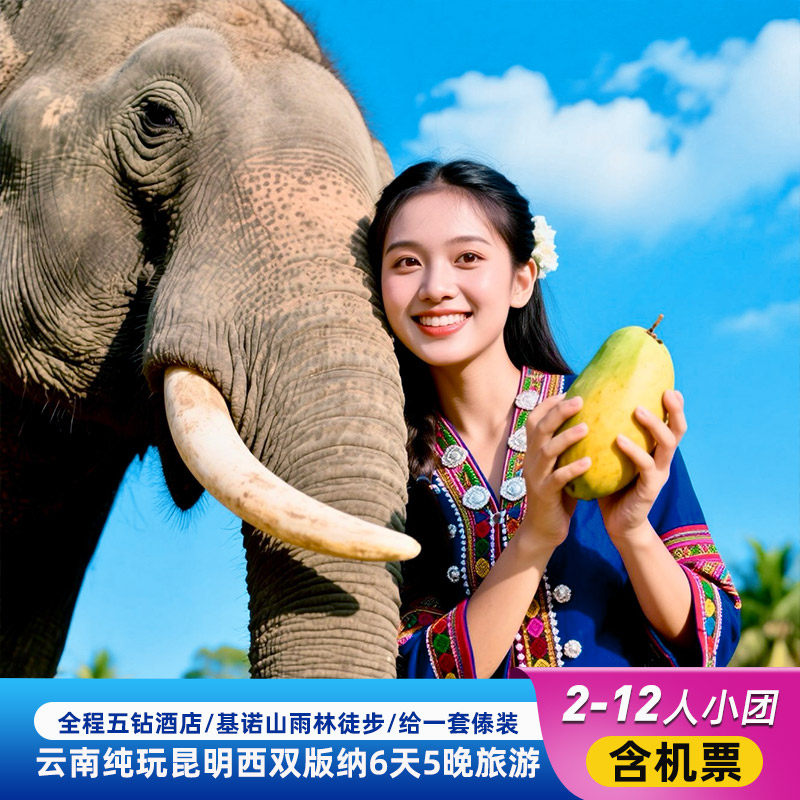西双版纳旅游12人小团全程五钻!纯玩昆明西双版纳6天基诺山徒步 - 定制游预订
