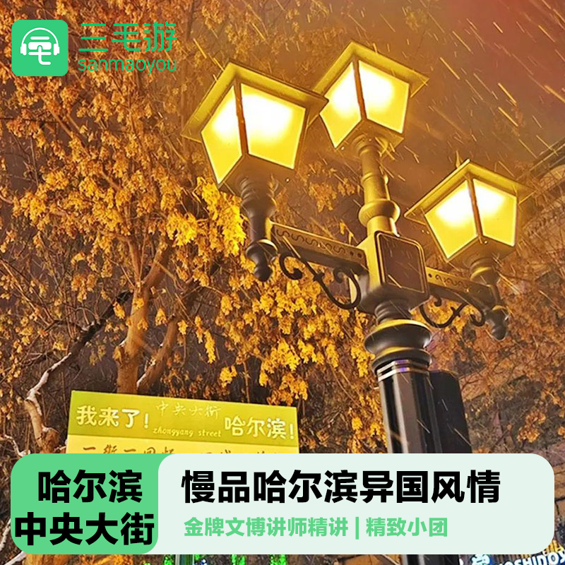 三毛游◆哈尔滨中央大街3H金牌导游讲解索菲亚教堂大咖解说纯玩团 - 定制游预订