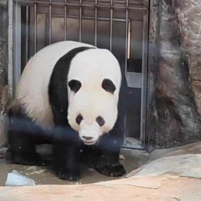 北京4天3晚观悦行政公寓北京动物园北京海洋馆