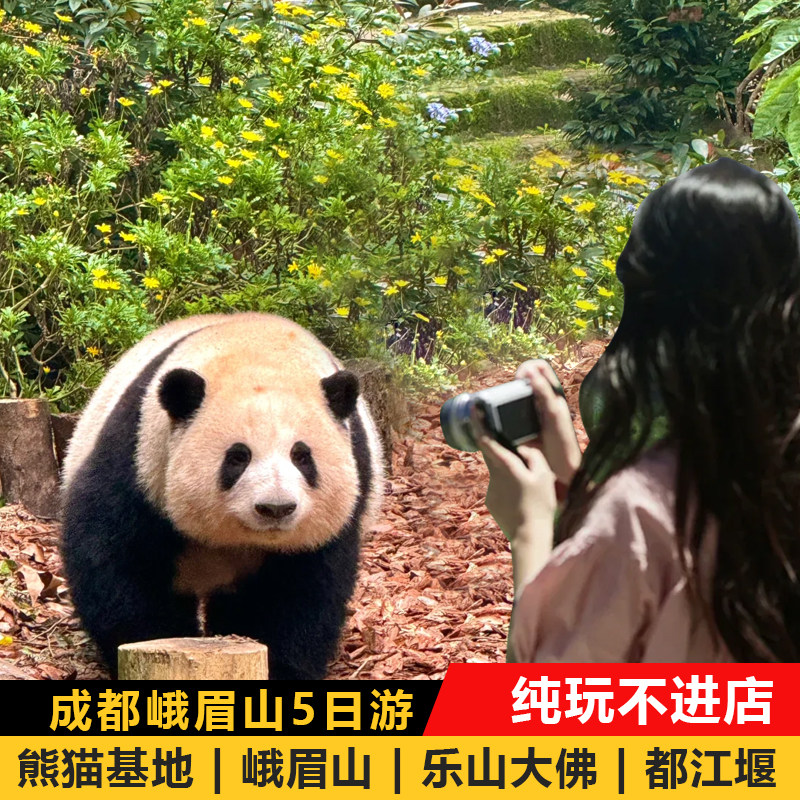 四川成都峨眉山5日纯玩游 都江堰 乐山大佛 大熊猫基地 三星堆 - 定制游预订