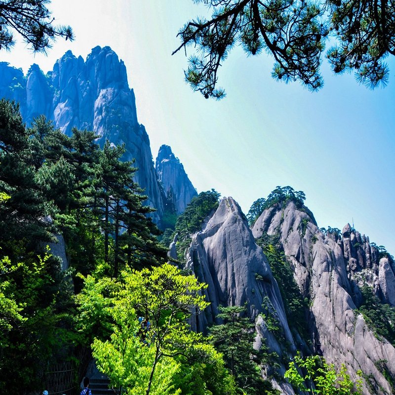 黄山出发 黄山风景区1日跟团游 迎客松/光明顶/北海景区 - 定制游预订