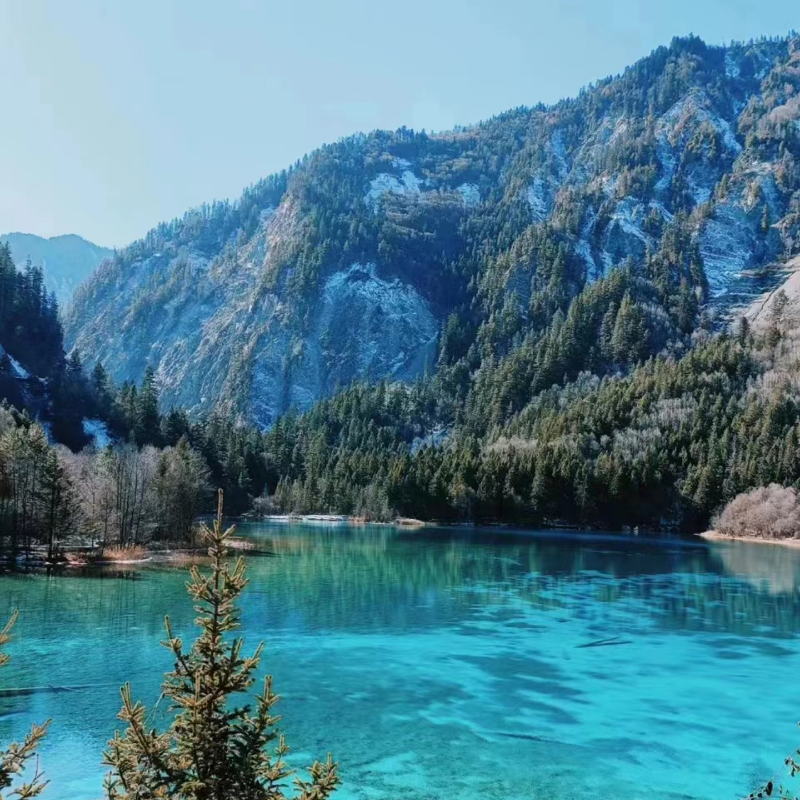 【8人小团】九寨沟黄龙熊猫基地/三星堆三日游赠旅拍高速进动车回 - 定制游预订