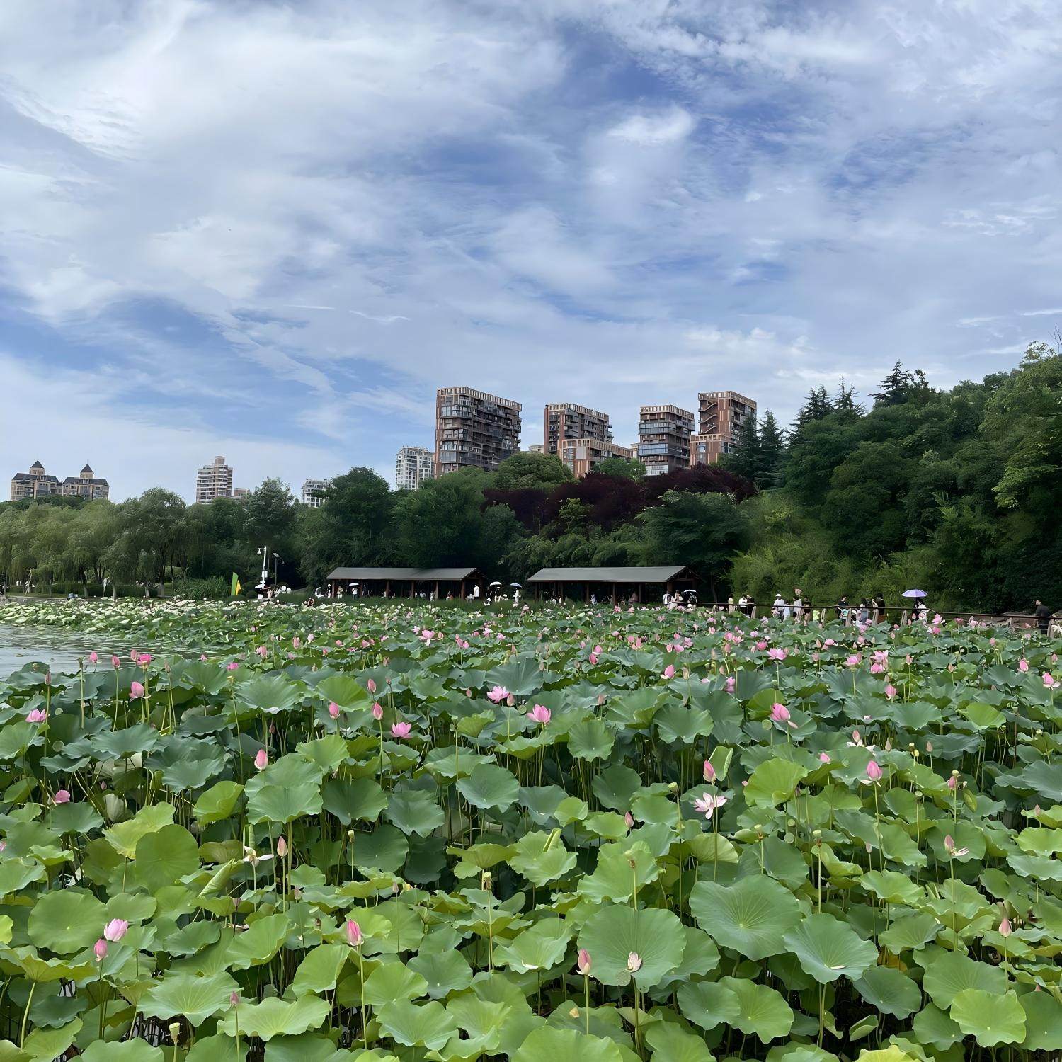 合肥品牌连锁酒店住宿+合肥融创乐园成人票