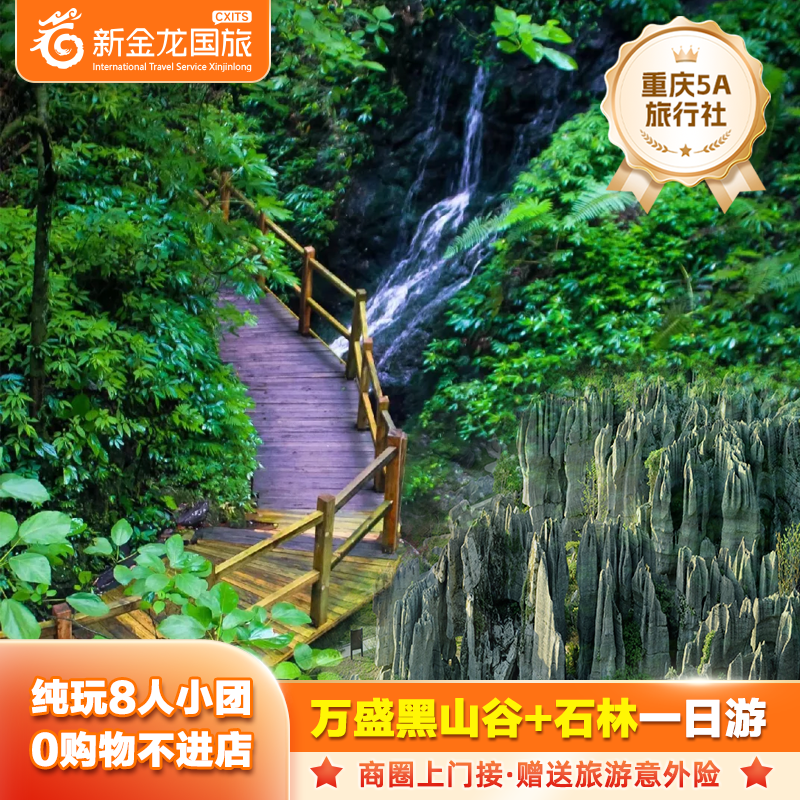 重庆旅游跟团游万盛黑山谷及龙鳞石海一日游周边2-8人小团 - 定制游预订