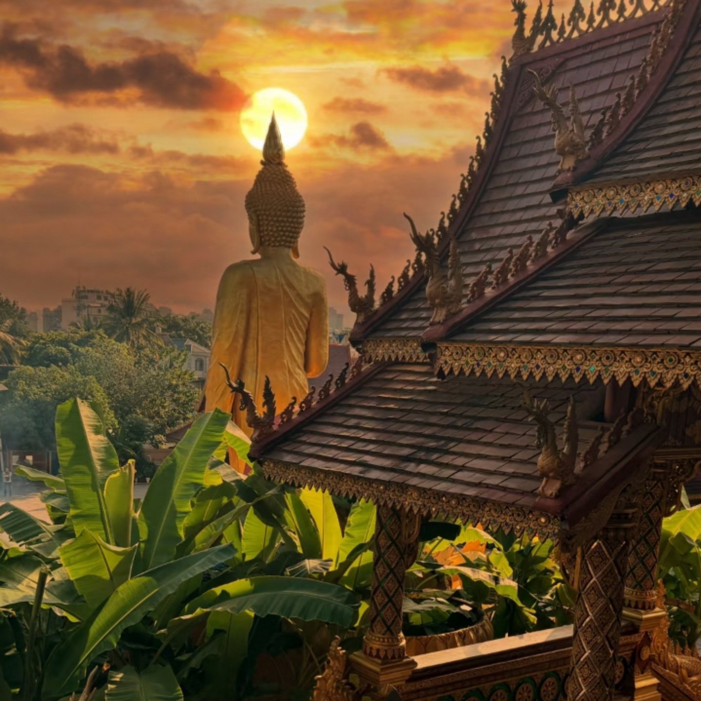 云南西双版纳4天3晚跟团游中科院植物园原始森林公园野象谷般若寺 - 定制游预订