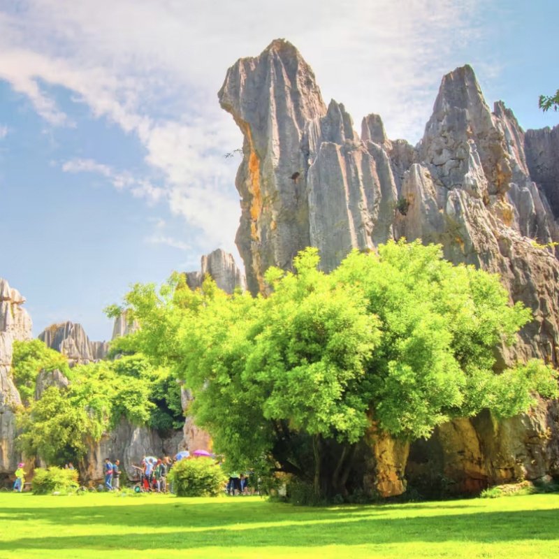 云南昆明石林风景区+九乡纯玩一日游 - 定制游预订