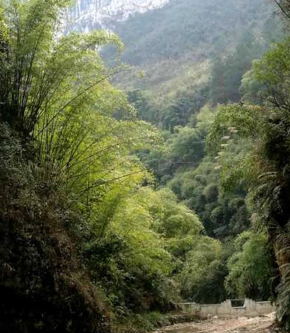 巴喇谷风景区图片