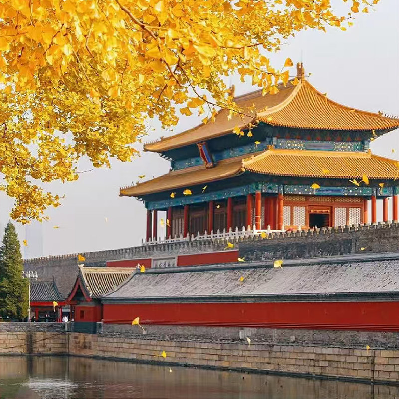 北京/故宫/天坛/天安门/八达岭长城/颐和园/二环内酒店暑期亲子游 - 定制游预订