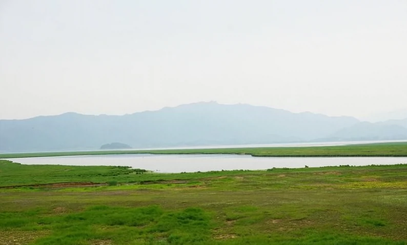 生态湿地图片