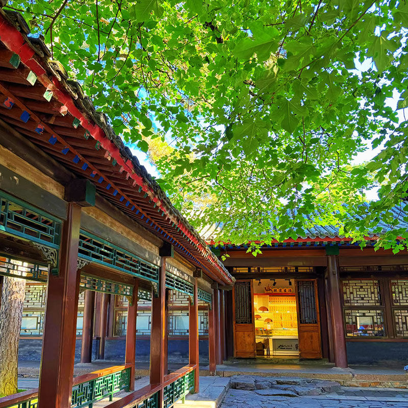 汽车出发山东济南德2天1晚自由行 - 定制游预订