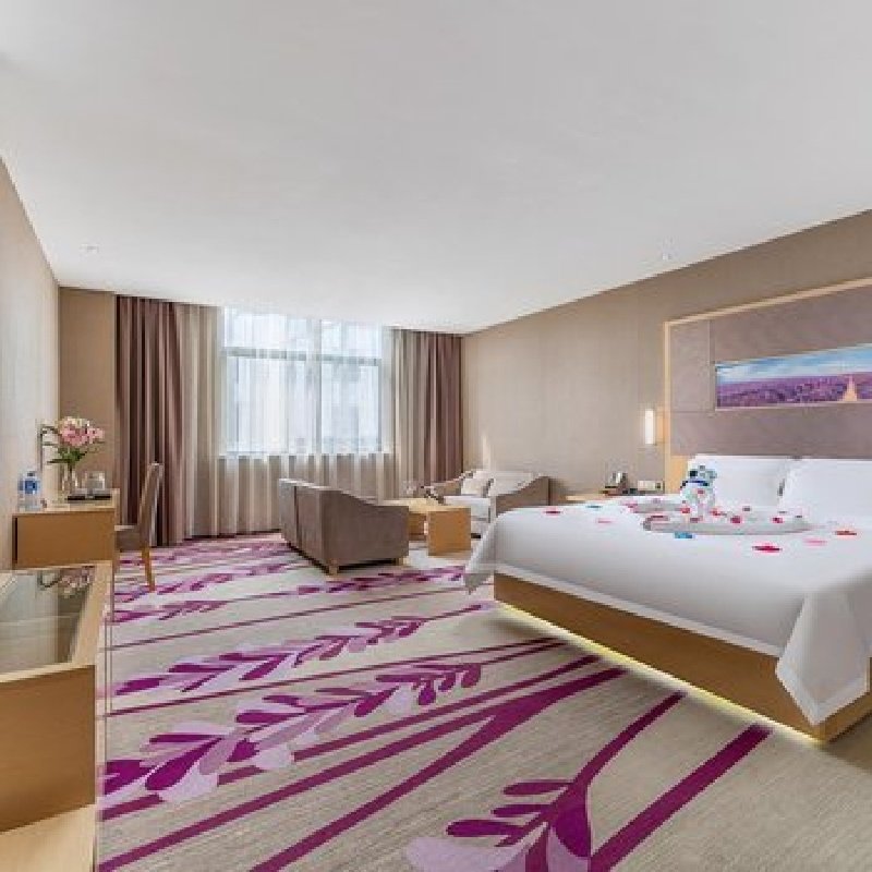 D2天1晚广州市麗枫酒店广州汉溪长隆站野生动物园景区店酒店自由行+越秀公园门票