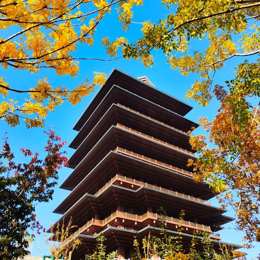 兰州会展中心高空河景亚朵S酒店住宿+黄河楼成人票 - 定制游预订