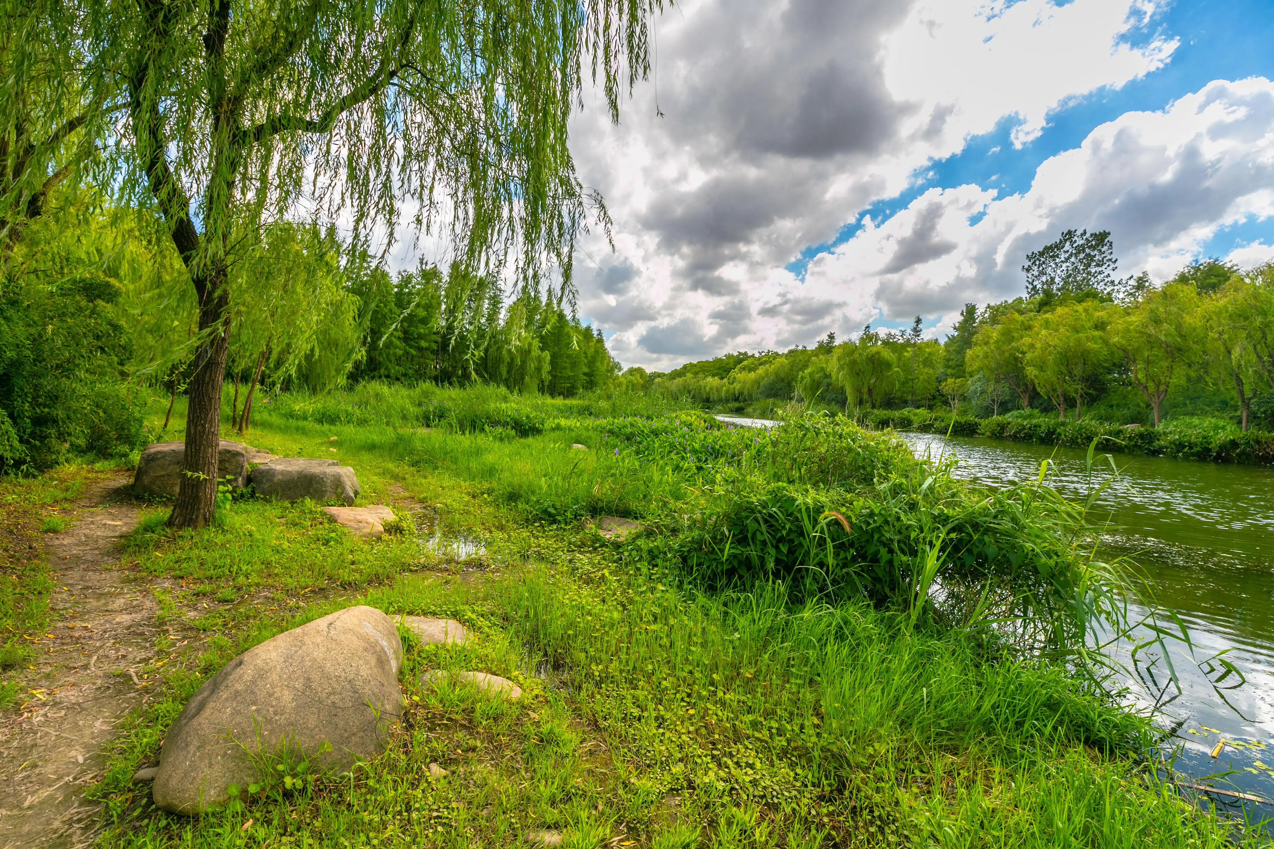 江湾湿地公园图片