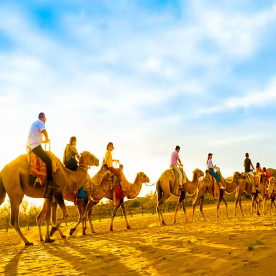 【畅享】银川光耀中心希尔顿欢朋酒店高级大床2天1晚+黄沙古渡