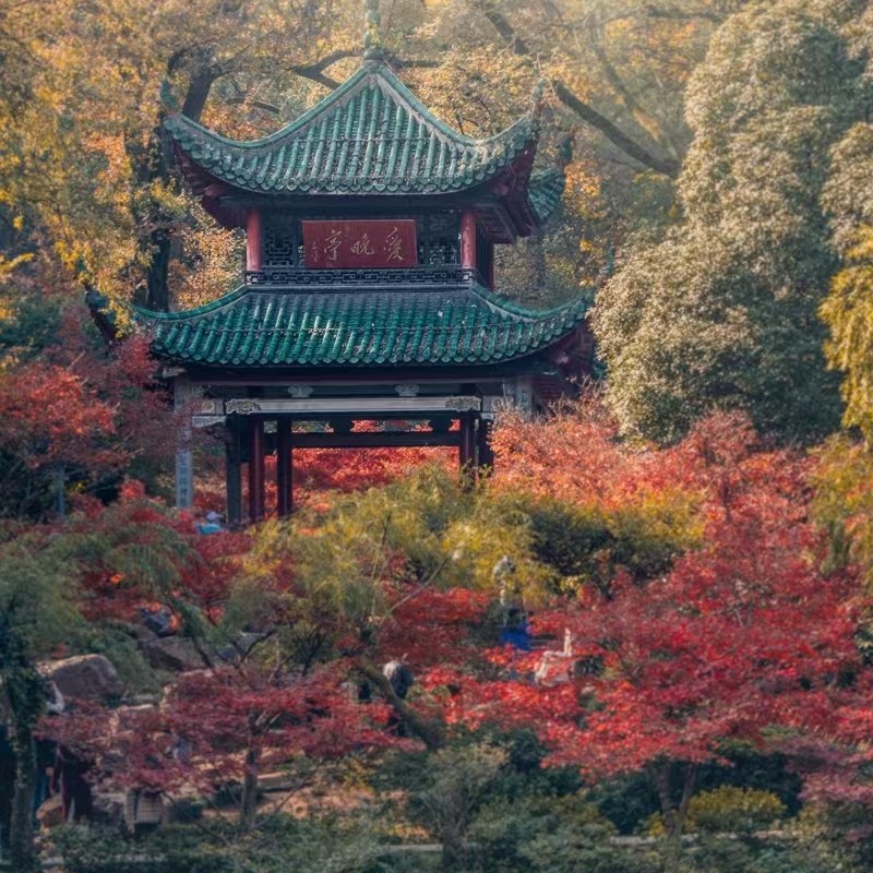 【双人游】长沙五一广场希尔顿欢朋酒店3天2晚双早+湘江游轮夜游小火车+橘子洲头岳麓山