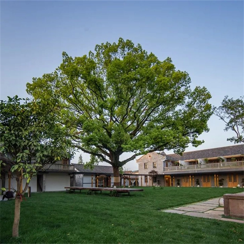 隐居慈城公馆2间夜+住豪华庭院房+含早餐+享双人正餐套餐1份+出门即景