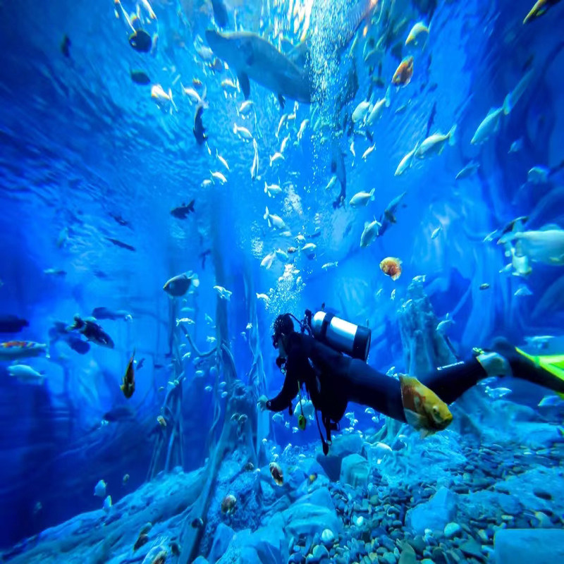 【金秋特惠】郑州海昌海洋公园酒店2天1晚2日入住期间不限次门票+早餐