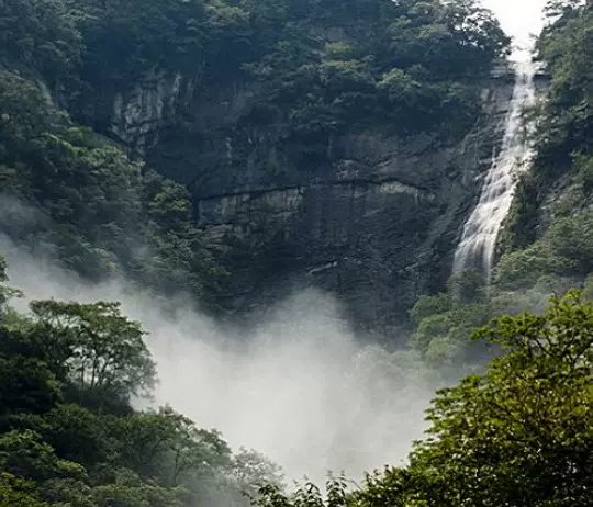 天坑仙境图片