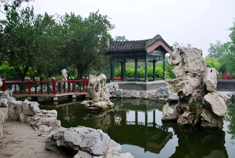 济宁第一园石墙生态茶园图片