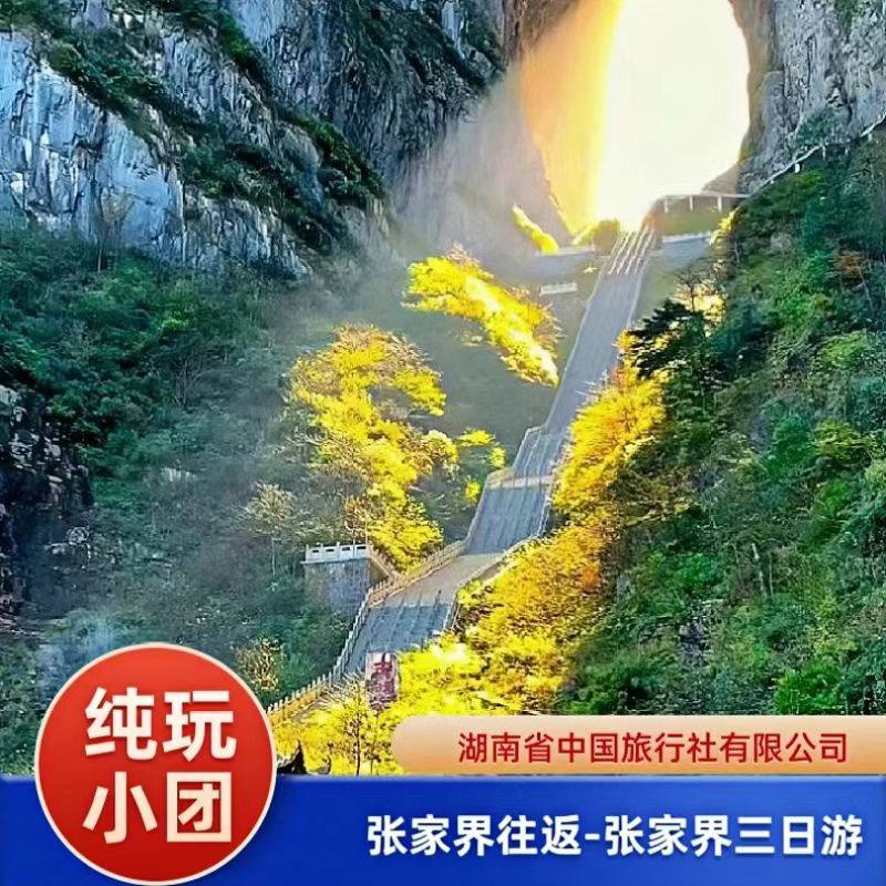 张家界三日游纯玩黄龙洞/森林公园/玻璃桥/天门山 +尊享一价全含 - 定制游预订