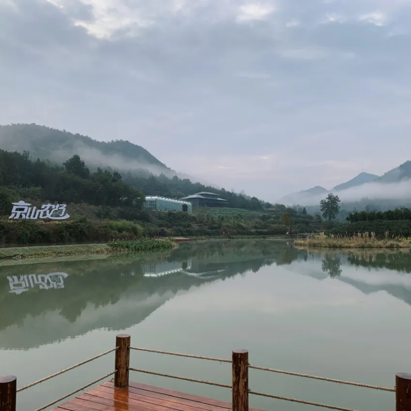 【亲子伴游】谷庄度假酒店/营地酒店/百年老屋/武汉周边游/京山农场旅游