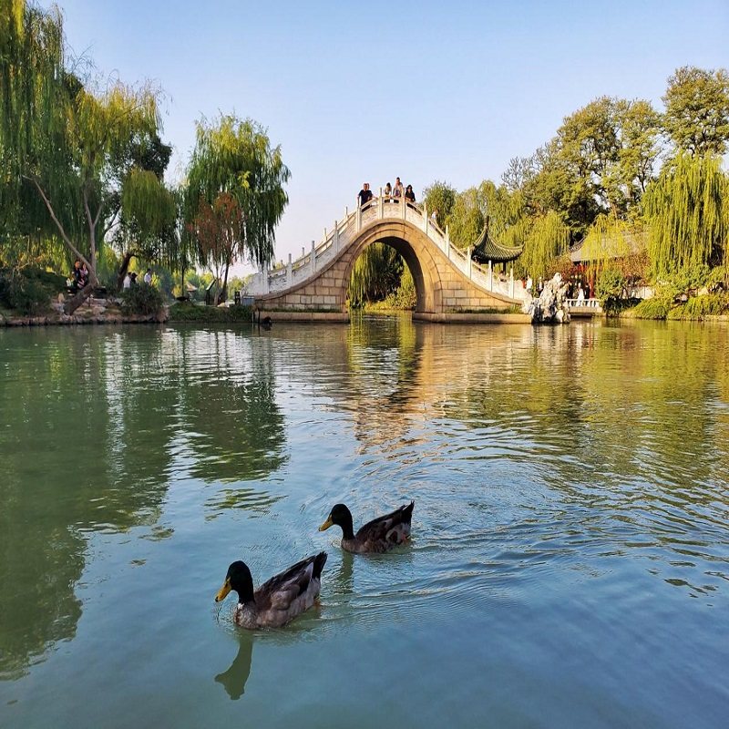 【上海出发南京散团】苏州+无锡+周庄+扬州+南京5天4晚跟团游 - 定制游预订