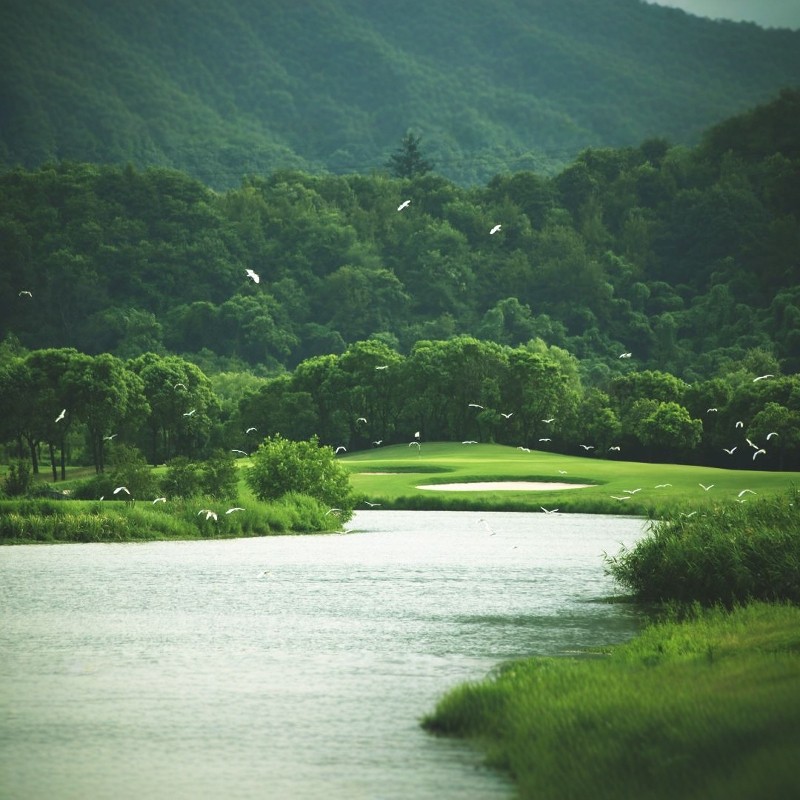 【天然氧吧】绍兴会稽山阳明酒店2晚+两大景区门票买1送1•禅意体验 - 定制游预订