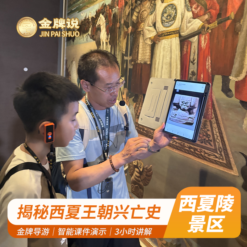 金牌说●西夏陵讲解3H金牌导游大咖精讲西夏陵遗址 私家团小包团 - 定制游预订