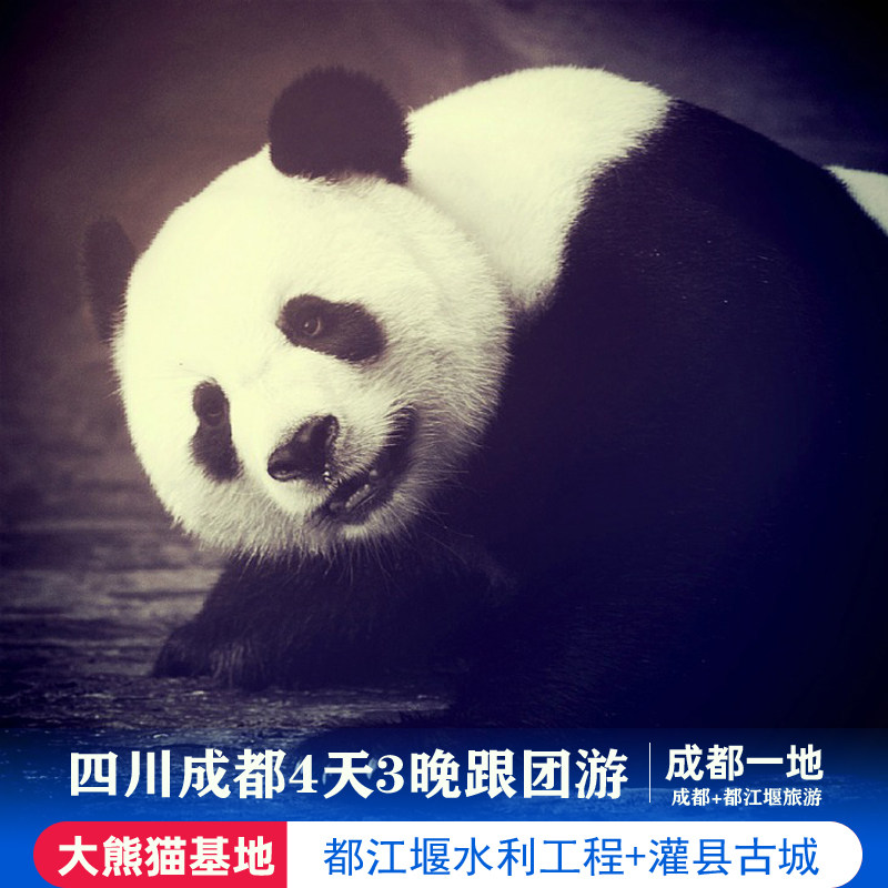 4天3晚都江堰+成都半自由行四川熊猫基地灌县古城都江堰水利工程 - 定制游预订