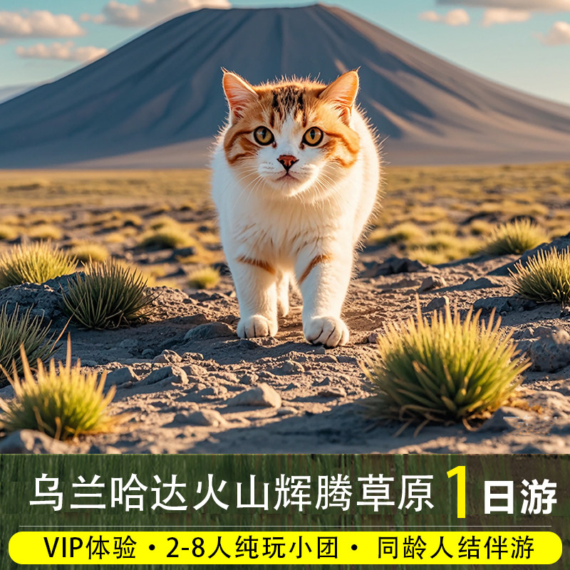 8人小团乌兰察布乌兰哈达火山辉腾锡勒草原一日游呼和浩特旅游团 - 定制游预订