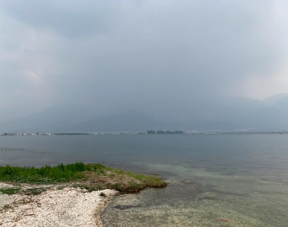 大鹳鹏洲观景点图片