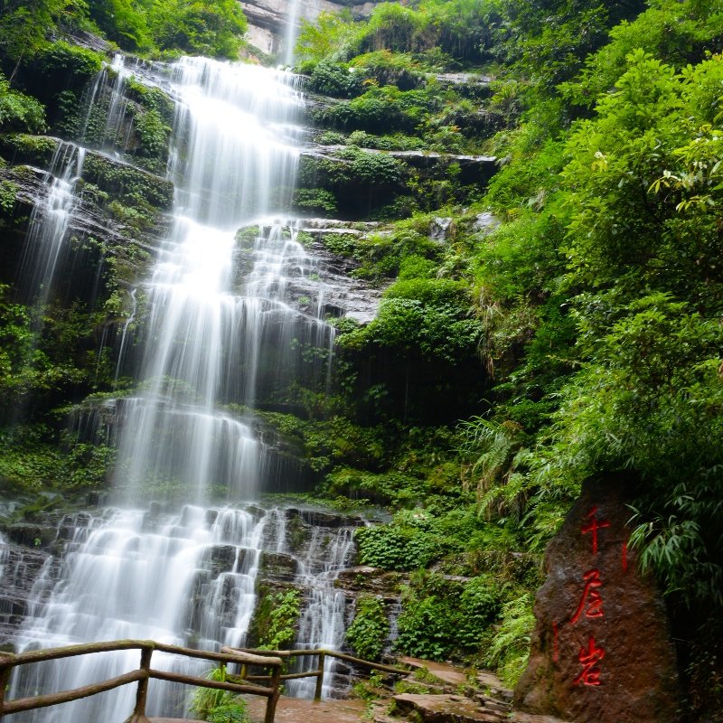 2大1小亲子雅安碧峰峡萌趣酒店住宿1晚+野生动物世界/熊猫基地