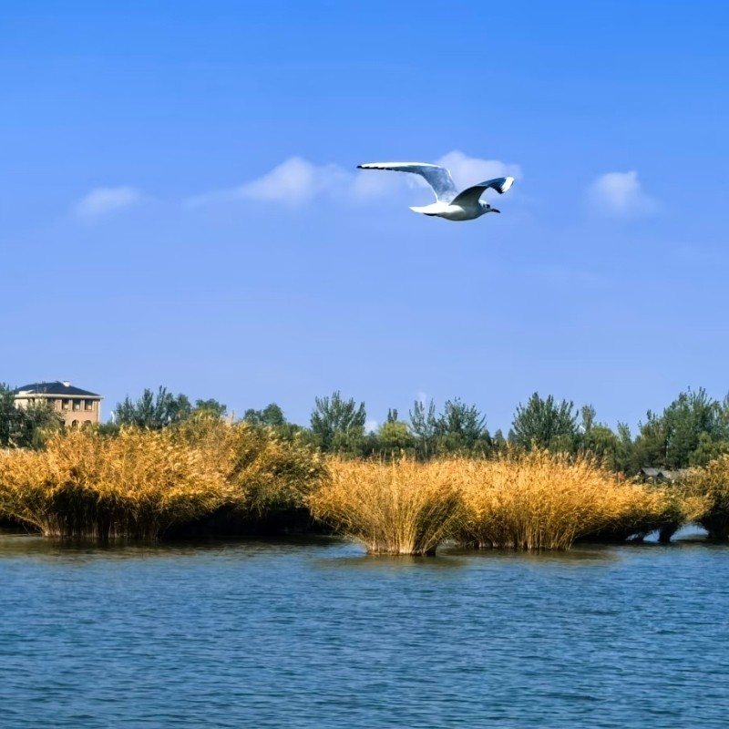 【乐享】银川老城万达商圈亚朵精品酒店两天一晚+沙湖