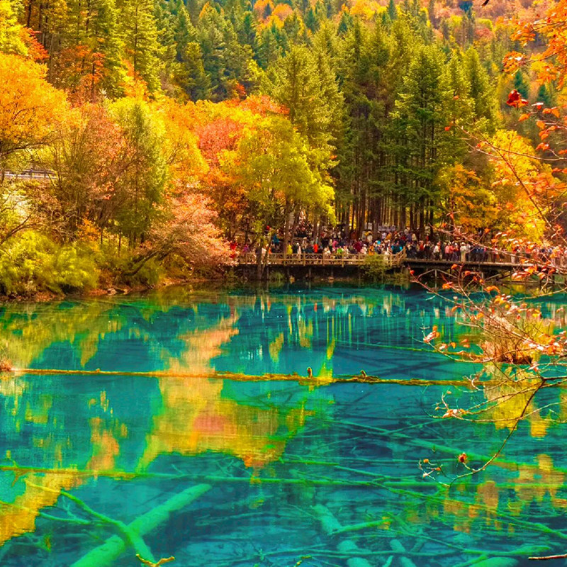 精品2-8人纯玩团九寨沟4日游黄龙四姑娘山达古冰川4天3晚川西拼车